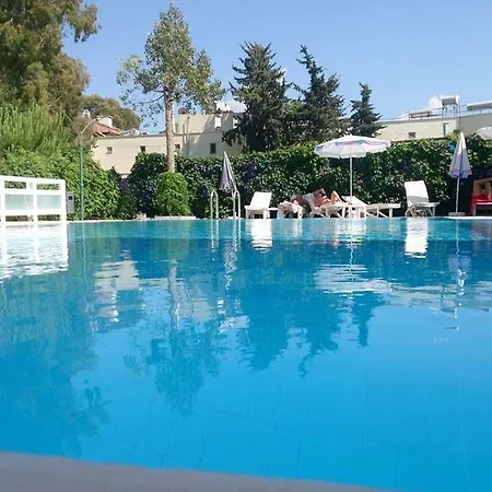 Ceren 2*